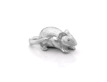 Кошельковая мышь